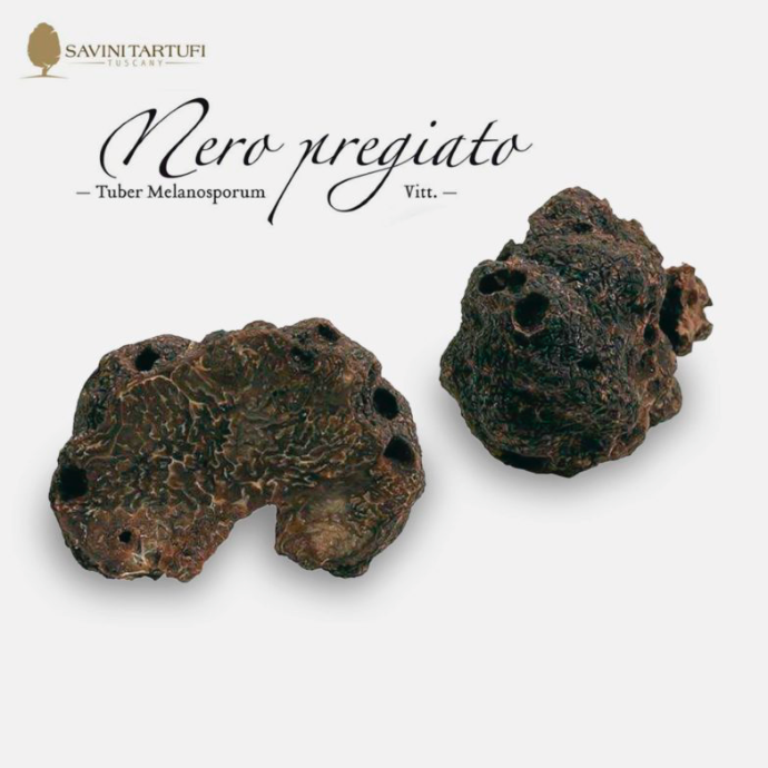 Zwarte wintertruffel 30 gr