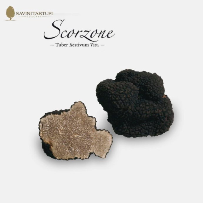 Zwarte zomertruffel 20gr